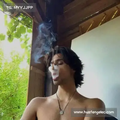 费艾贞